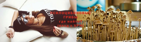 гашик Кукмор