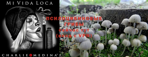 спиды Лиски