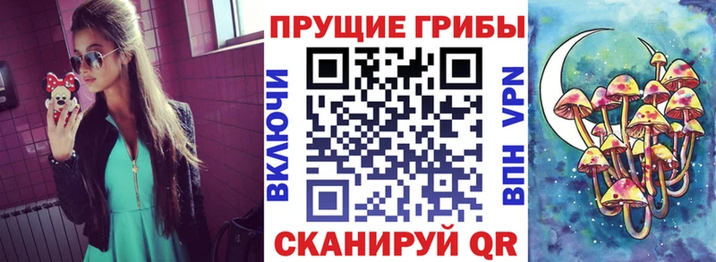 mega tor  Лиски  Псилоцибиновые грибы ЛСД 