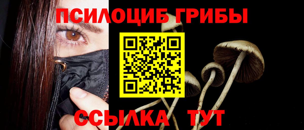 Псилоцибиновые грибы ЛСД  Галлюциногенные грибы Cubensis  Лиски  Вход с VPN 